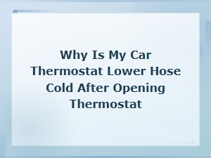 Why Is My Car Thermostat Lower Hose Cold After Opening the Thermostat