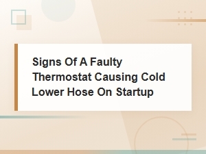 Cold Lower Hose on Startup? Signs of a Faulty Thermostat