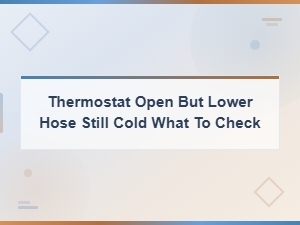 Thermostat Open but Lower Radiator Hose Still Cold — What to Check